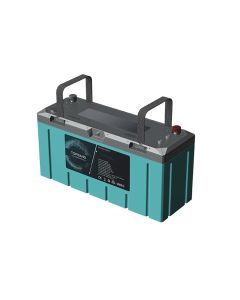 Lithium Batteri: LiFePO4 12V 200Ah T-Premium 200A BMS